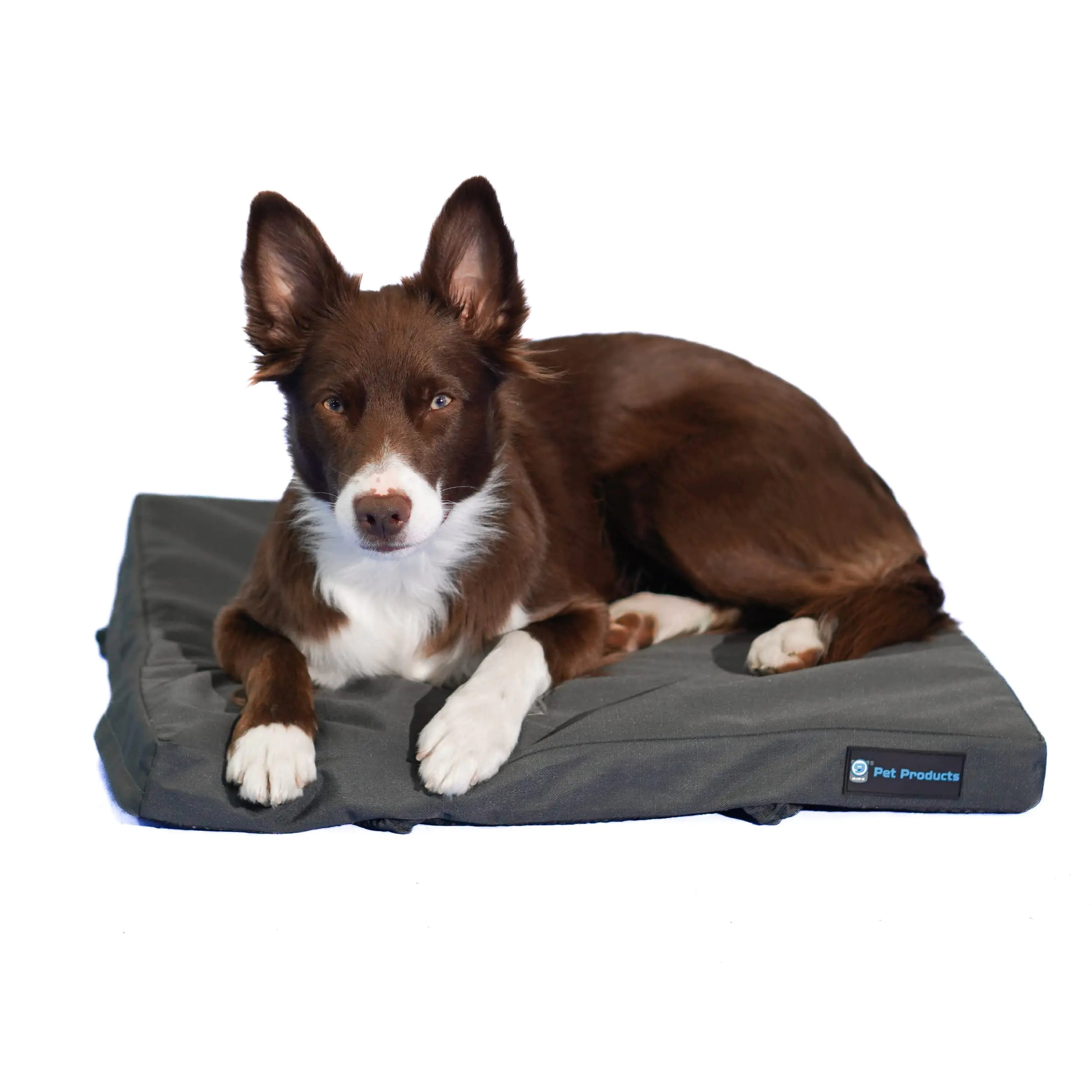 Blue-9 Pet Products Restore Dog Bed Durable Water Resistant and Washable Design 24” Square